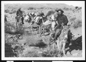 Two men and a train of pack mules in the Mojave Desert, February, 1912