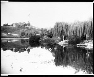 View of the lake at Echo Park in Los Angeles