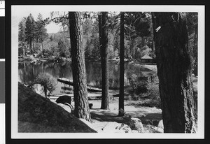 Small pier on Bartlett's Cedar Lake as viewed between trees, ca.1950