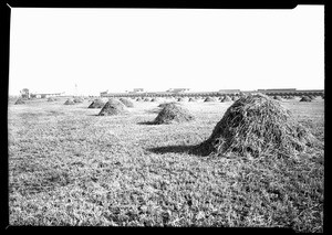 Exterior view of the Goodrich Tire and Rubber Company and Willard Storage Battery Plant, May 1930