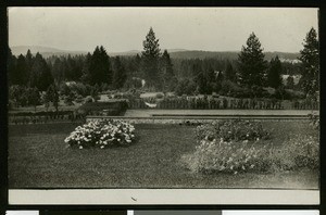 Flower patches on the grounds of the Empire Mine in Grass Valley, ca.1910