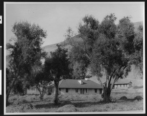 View of the unoccupied Ontivares adobe on Santa Maria creek, 1937