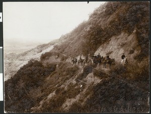 Group of nine people riding mules on the trail to Mount Wilson