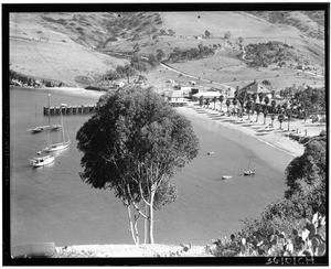 View of a beach at Catalina Island, showing pier and boats in water