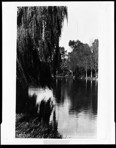 View across Echo Park lake, ca.1924