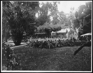 Mrs. Michael Connell's home, showing views of the yards, ca.1900