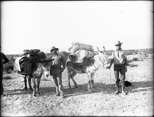 Carl Eytel and Van Buskirk with pack burros on their Colorado River trip with George Wharton James, ca.1900