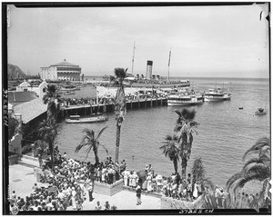 Ships at a dock in Avalon Harbor, Santa Catalina Island