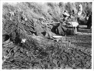 A game trap near a Chemehuevi Indian camp, ca.1900