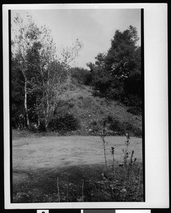 Wide path in Placerita Canyon, the site of gold discovery in 1842, ca.1900-1940