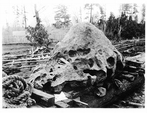 Twenty-ton meteorite comprised of nickel and iron discovered in Oregon City, Oregon, ca.1920
