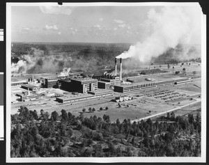 Exterior of the International Paper Company dissolving pulp mill, 1958