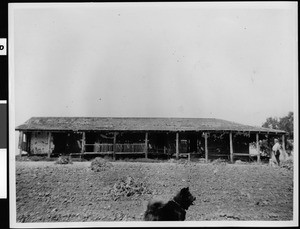 Exterior view of Rancho Agua Hedionda in Carlsbad, showing a dog in the foreground, ca.1930