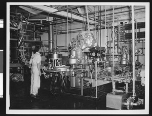 Canning operations in a food plant, ca.1925