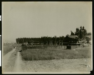 View of Pickering Park in Long Beach, ca.1905