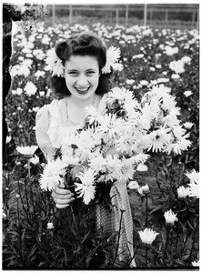 Woman holding Marconi daisies in a field