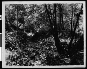 Monrovia Canyon rustic scene, September 1928