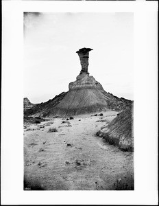 Eagle's Head, a petrified tree formation in the Petrified Forest of Arizona, 1898