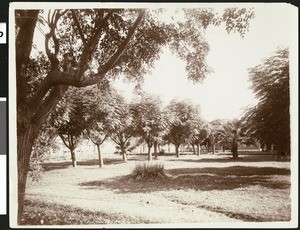 A rancher's home, Phoenix, Arizona