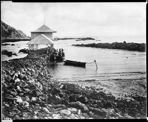 Japanese abalone fisheries at White's Point, Palos Verdes, near San Pedro, ca.1905