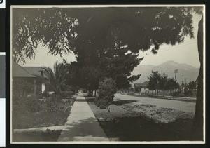 Residential street in Upland, ca.1905