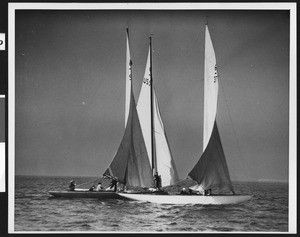Three sailboats clustered together, ca.1940