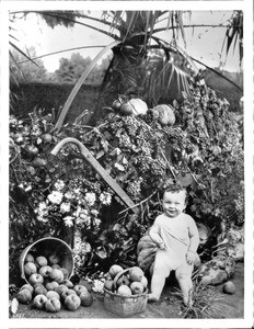 Display of fruits and vegetables with a baby sitting in front