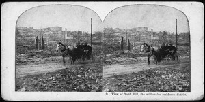 San Francisco earthquake damage, showing a horse and carriage in the street in Nob Hill, 1906