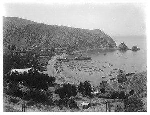 View of Avalon Harbor, Santa Catalina Island, ca.1900