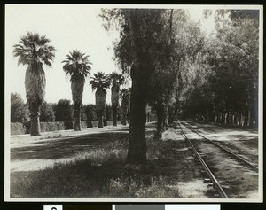 Magnolia Avenue in Riverside, showing railroad tracks, ca.1900