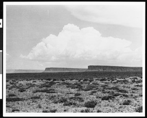 High desert, Arizona