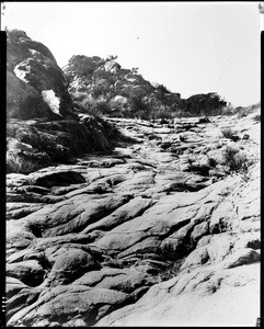 Santa Susanna Pass, east side, Ventura, San Fernando Valley, California, ca.1895
