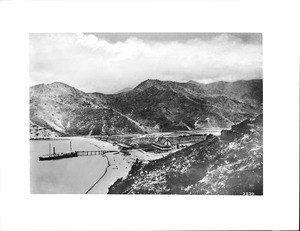 View of Avalon Bay looking from the north, showing a docked Ferndale steam boat, ca.1887