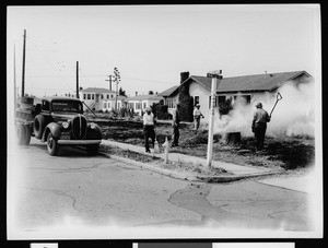 Department of Public Works employees burning the branches from a felled tree