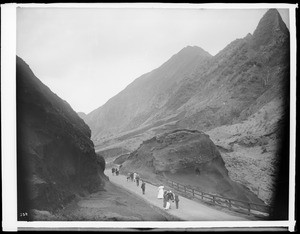 Los Angeles Chamber of Commerce group of people walking on road to Pali, Hawaii, 1907