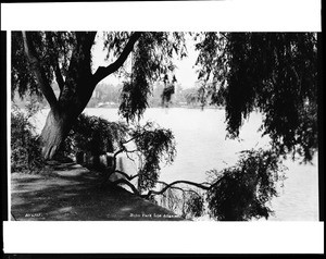 View of the water at Echo Park Lake, seen through thick tree foliage, 1924