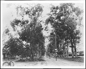 Santa Monica Boulevard looking west from Western Avenue in Hollywood, 1906