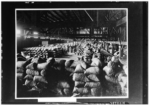 Room full of walnut sacks inside a factory, ca.1927