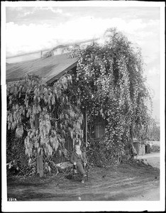 Carr residence in Pasadena, now Carmelita Park, ca.1895