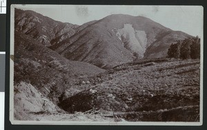 View of a bridge near Mount Arrowhead, ca. 1900