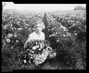 A woman with a rose bouquet in a field of roses
