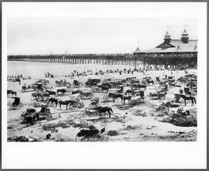 Long Beach Pier and beach crowded with horses and carriages, ca.1900