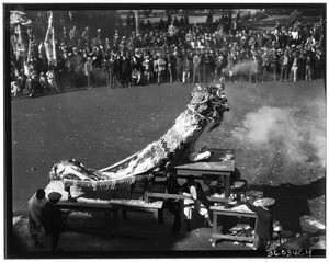 Large Chinese dragon extending its body over a series of tables during the Chinese New Year celebration, Chinatown, 1920-1929