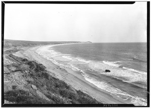 Uninhabited beach, showing shrubs along the shoreline