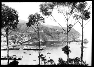 View of Avalon Bay from distant treetops, 1927