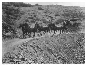 Captain Banning driving first stage on Santa Catalina Island, ca.1895-1900