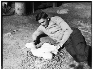 Man in Lincoln Park tending to a duck and ostrich eggs