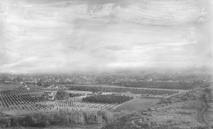Panoramic view of the Pomona Valley from San Jose Hills, ca.1900