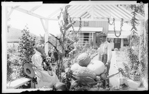 Mrs. Etta Kadish, a woman farmer of Garvanza, 1893