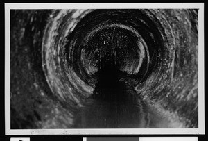Sewer interior view showing growth in the background caused by infrequent flushing